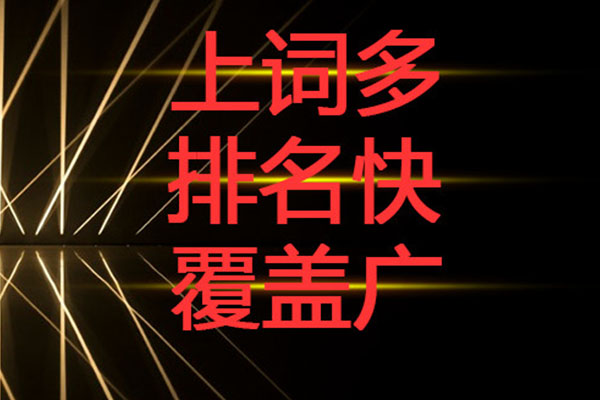 成都網(wǎng)絡(luò)營銷公司如何解決中小企業(yè)發(fā)展需求